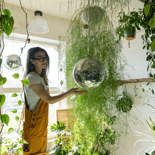 Create an indoor garden to bring the outdoors in